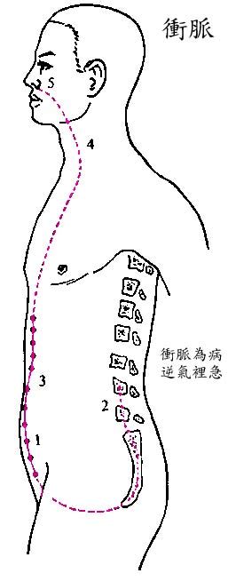 故尺氣|醫砭 » 黃帝內經 » 脈度